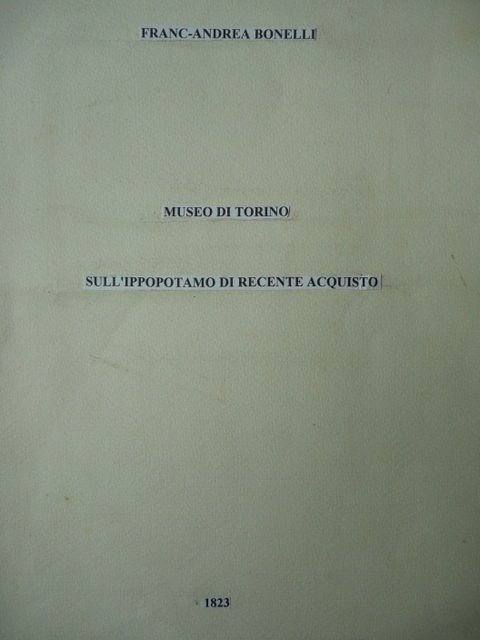 Ippopotamo Bonelli Museo Storia Naturale Torino 1823 Zoologia Animali