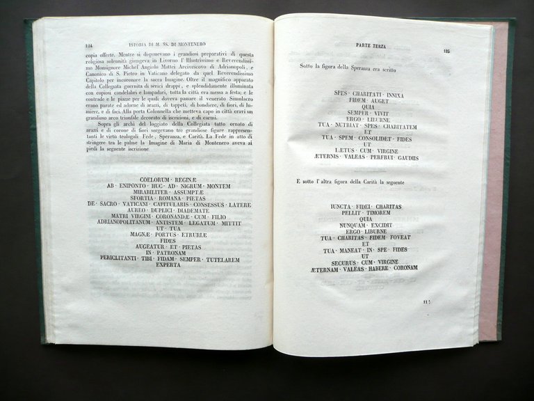 Istoria Apologetica Prodigiosa Imagine Maria Santissima di Montenero Tausch 1845 | Immagine Gallery 3