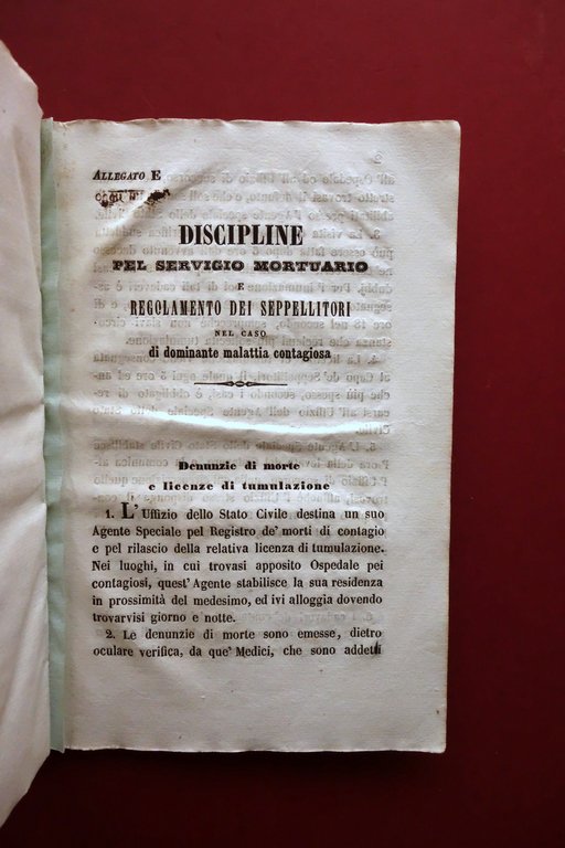 Istruzioni in Ordine al Cholera Vignola Modena Raccolta di Opuscoli …