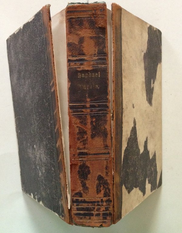 J. D. Passavant Raphael D'Urbin et Son PËre Giovanni Santi …