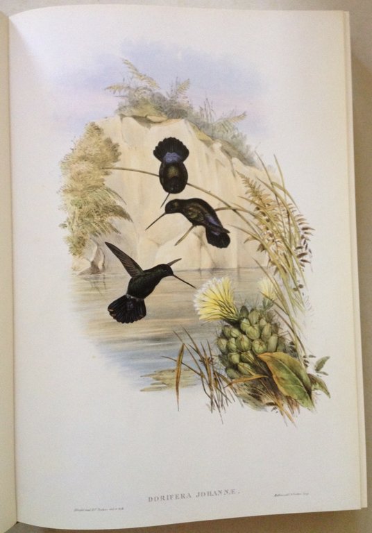 J. Gould's Hummingbirds Wellfleet Press Wordsworth Editions Ltd 1990