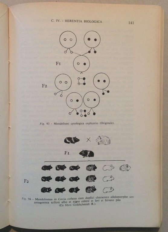 J. Pujiula SJ De Medicina Pastorali Marietti Editori 1952