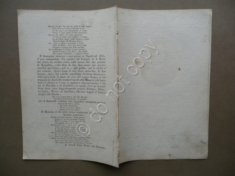 Jacopo Sannazaro Celebre Poeta Ritratto Biografia Nicola Gervasi Napoli Poesia | Immagine Gallery 2