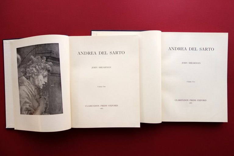 John Shearman Andrea del Sarto Clarendon Press Oxford 1965 2 …