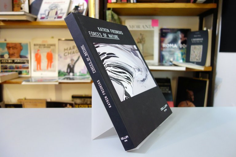 Katrin Fridriks Forces of Nature Dellupi Arte Milano 2017 Catalogo …