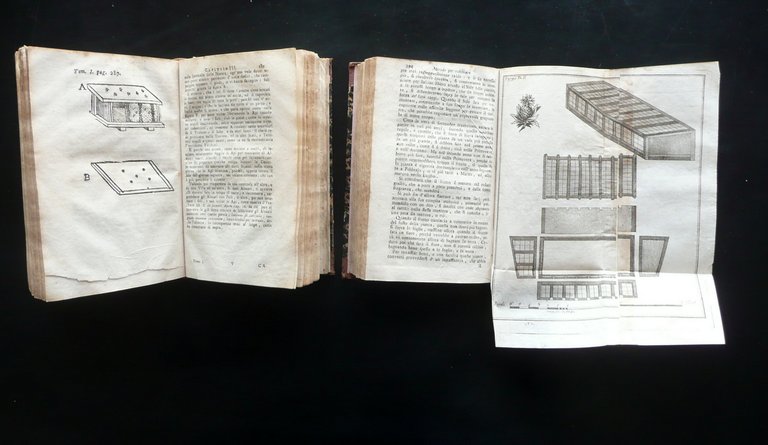 L'Agricoltore Sperimentato Cosimo Trinci Rossi Venezia 1796 2 Volumi Tavole