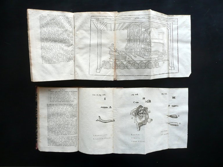 L'Agricoltore Sperimentato Cosimo Trinci Rossi Venezia 1796 2 Volumi Tavole