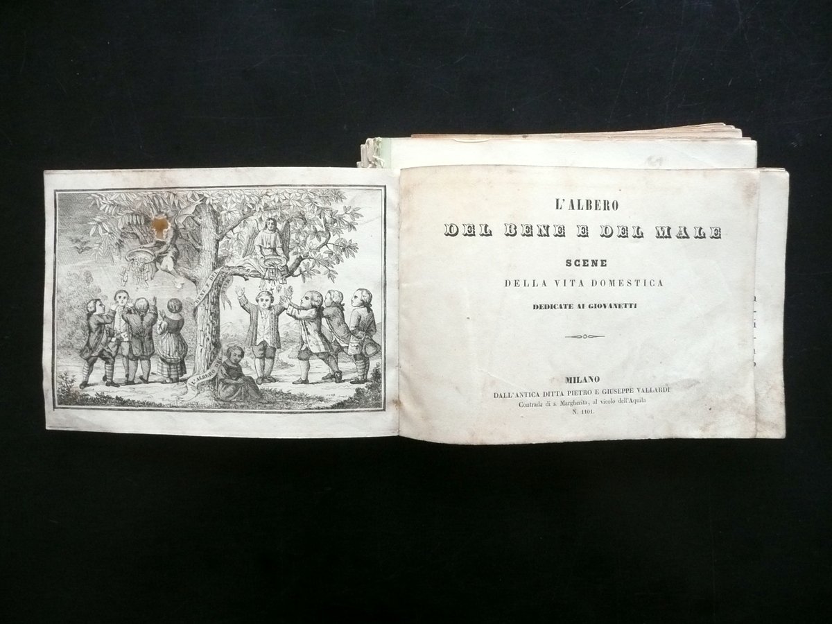 L'Albero del Bene e del Male Scene della Vita Domestica …