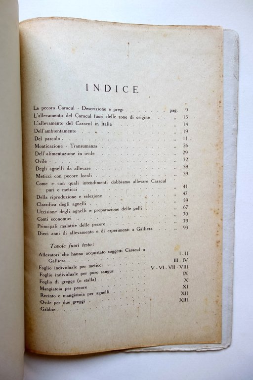 L'Allevamento della Pecora Caracul in Italia Enea Venturi Benati Bologna …