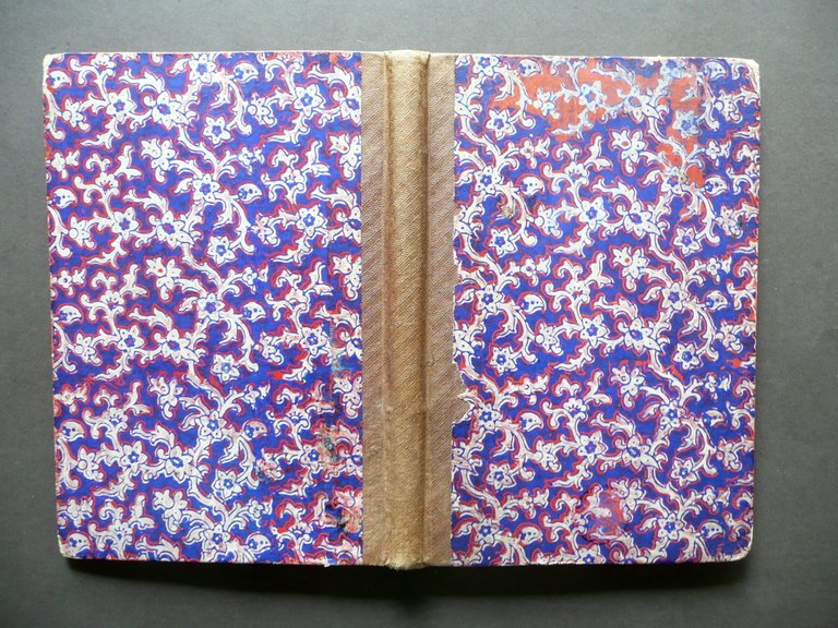 L'Ape Italiana Rivista Societ‡ d'Apicoltura Verona Anno I 1867 21 … | Immagine Gallery 2