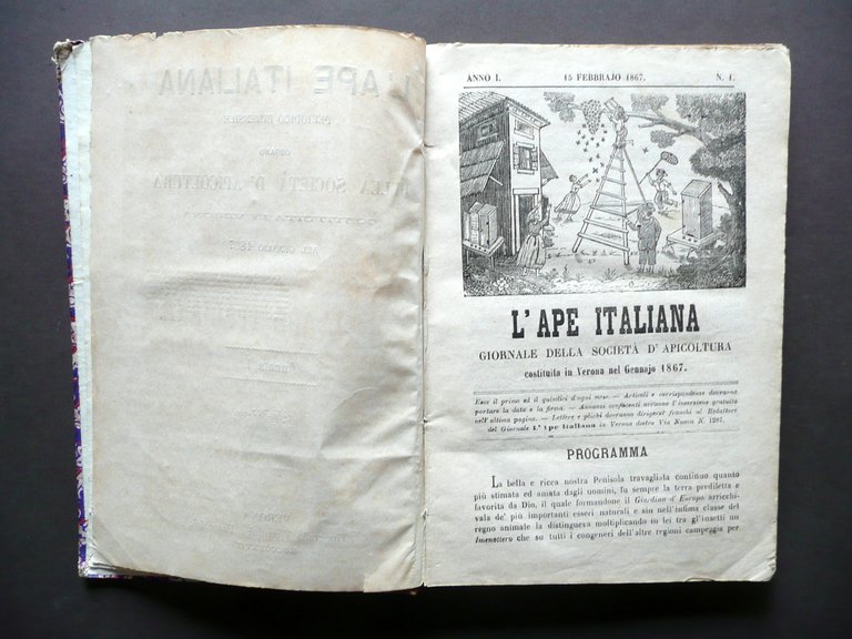 L'Ape Italiana Rivista Societ‡ d'Apicoltura Verona Anno I 1867 21 … | Immagine Gallery 3