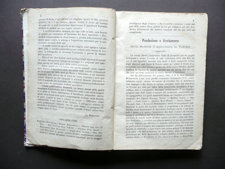 L'Ape Italiana Rivista Societ‡ d'Apicoltura Verona Anno I 1867 21 … | Immagine Gallery 4