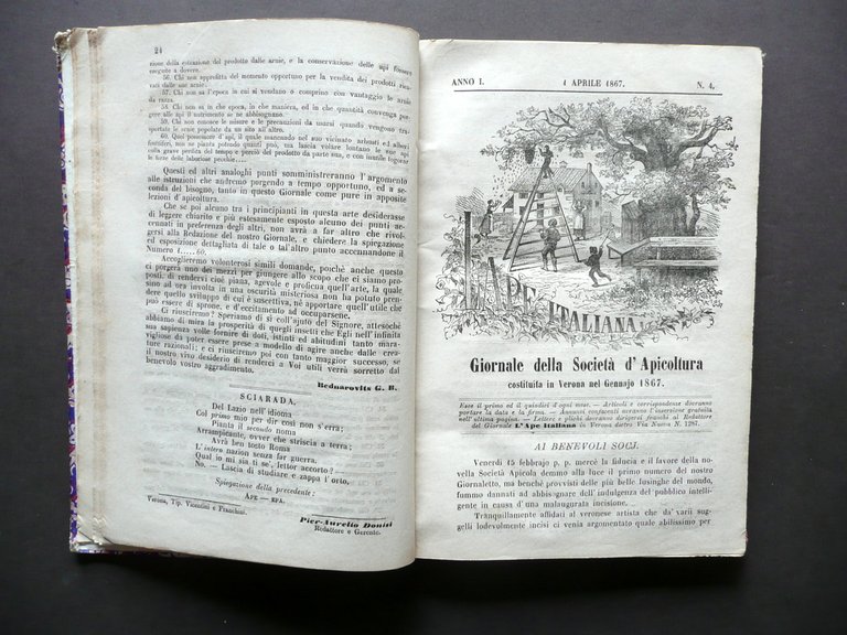 L'Ape Italiana Rivista Societ‡ d'Apicoltura Verona Anno I 1867 21 … | Immagine Gallery 5