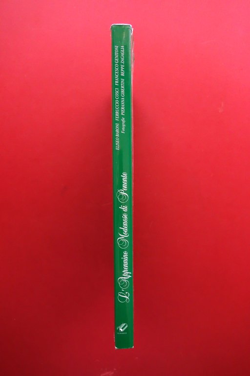 L'Appennino Modenese di Ponente AA. VV. Ed. Fioranese 1996 Foto …