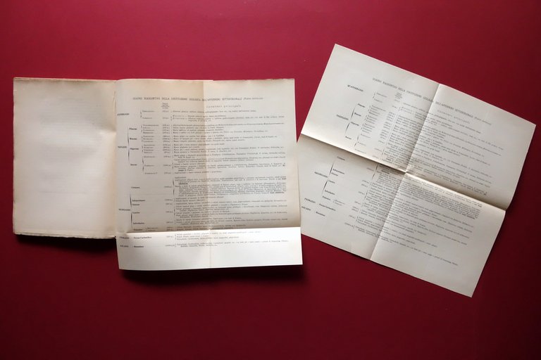 L'Appennino Settentrionale Parte Centrale Studio Geologico F. Sacco Lincei 1892