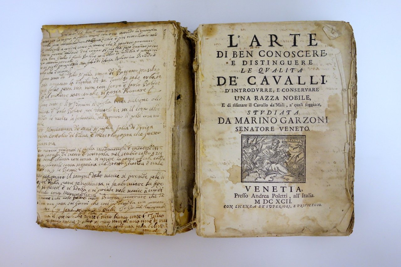 L'Arte di Conoscere e Distinguere le Qualità dei Cavalli Garzoni … | Immagine principale