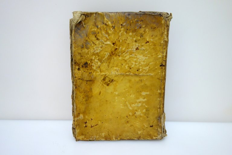 L'Arte di Conoscere e Distinguere le Qualità dei Cavalli Garzoni … | Immagine Gallery 3