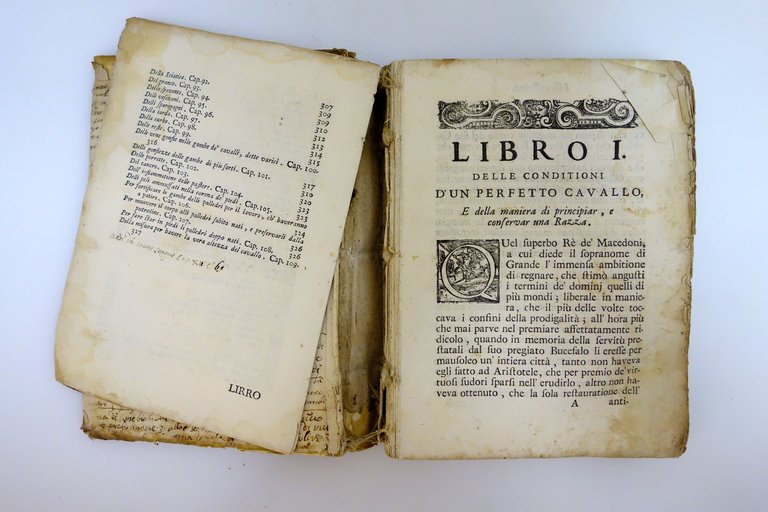 L'Arte di Conoscere e Distinguere le Qualità dei Cavalli Garzoni … | Immagine Gallery 4