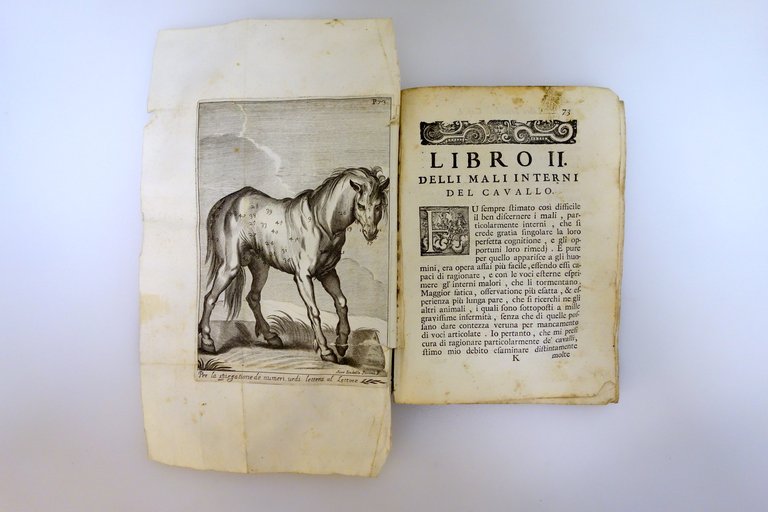 L'Arte di Conoscere e Distinguere le Qualità dei Cavalli Garzoni … | Immagine Gallery 5