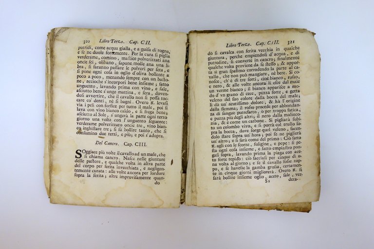 L'Arte di Conoscere e Distinguere le Qualità dei Cavalli Garzoni … | Immagine Gallery 7