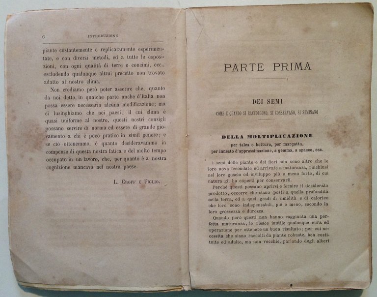 L. Croff e Figlio Il Vero Giardiniere Pratico Bricola Milano …