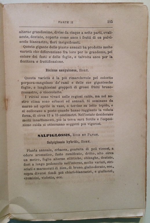 L. Croff e Figlio Il Vero Giardiniere Pratico Bricola Milano …