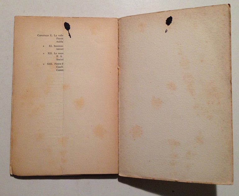 L E Cucari Viaggio Elettorale in Basilicata Casella Editore Napoli … | Immagine Gallery 3