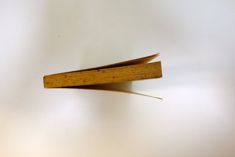 L'ISTANTE ZEN INSEGNAMENTI DEL MAESTRO FOYAN CLEARY MONDADORI 2001