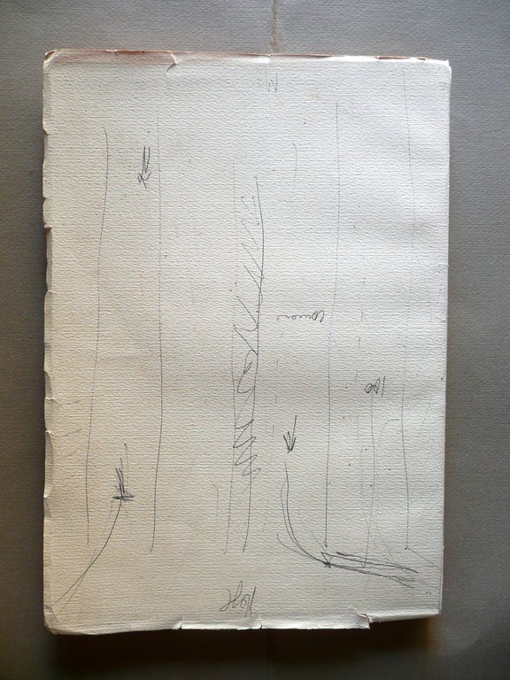 L'Opera Botanica del Prof. Caro Massalongo Tipografica Veronese 1929 Tregnago