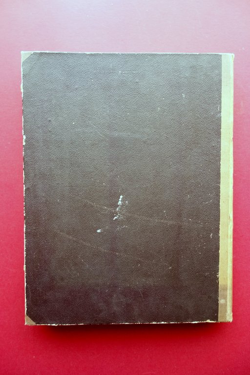 La Cattedra Alessandrina di S. Marco Evangelista e Martire Secchi …