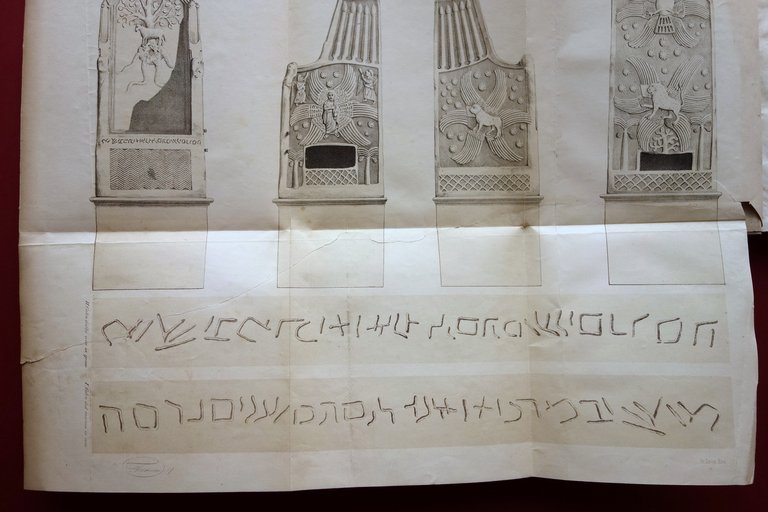 La Cattedra Alessandrina di S. Marco Evangelista e Martire Secchi …
