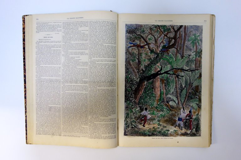 La Chasse Illustree Journal 50 Numeri Completi 1870-1871 1873 Tavole