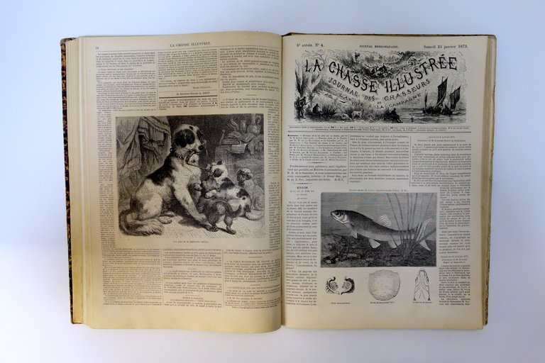 La Chasse Illustree Journal 50 Numeri Completi 1870-1871 1873 Tavole