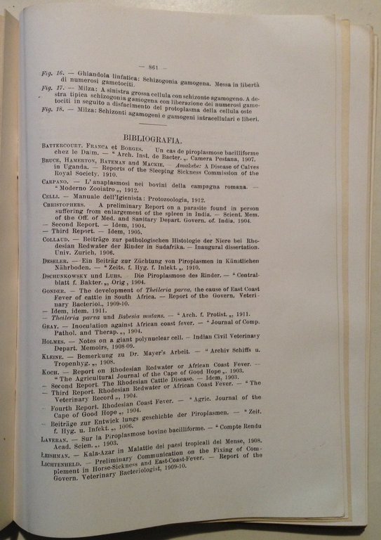 La Clinica Veterinaria Numero Straordinario Onoranze Prof Pietro Oreste 1912 | Immagine Gallery 6