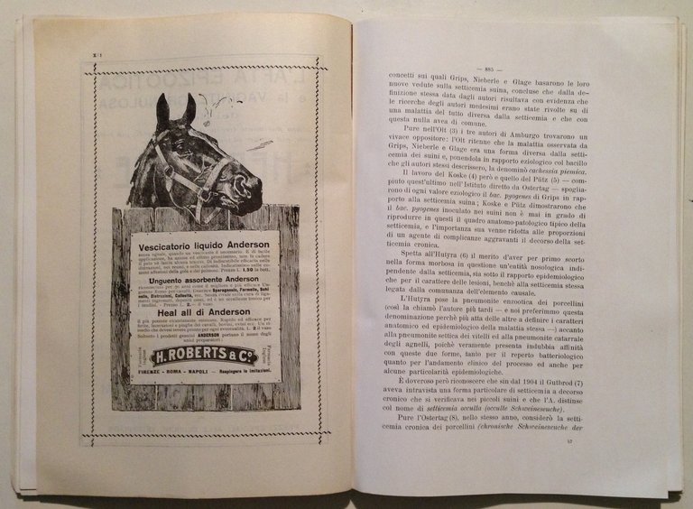 La Clinica Veterinaria Numero Straordinario Onoranze Prof Pietro Oreste 1912 | Immagine Gallery 7