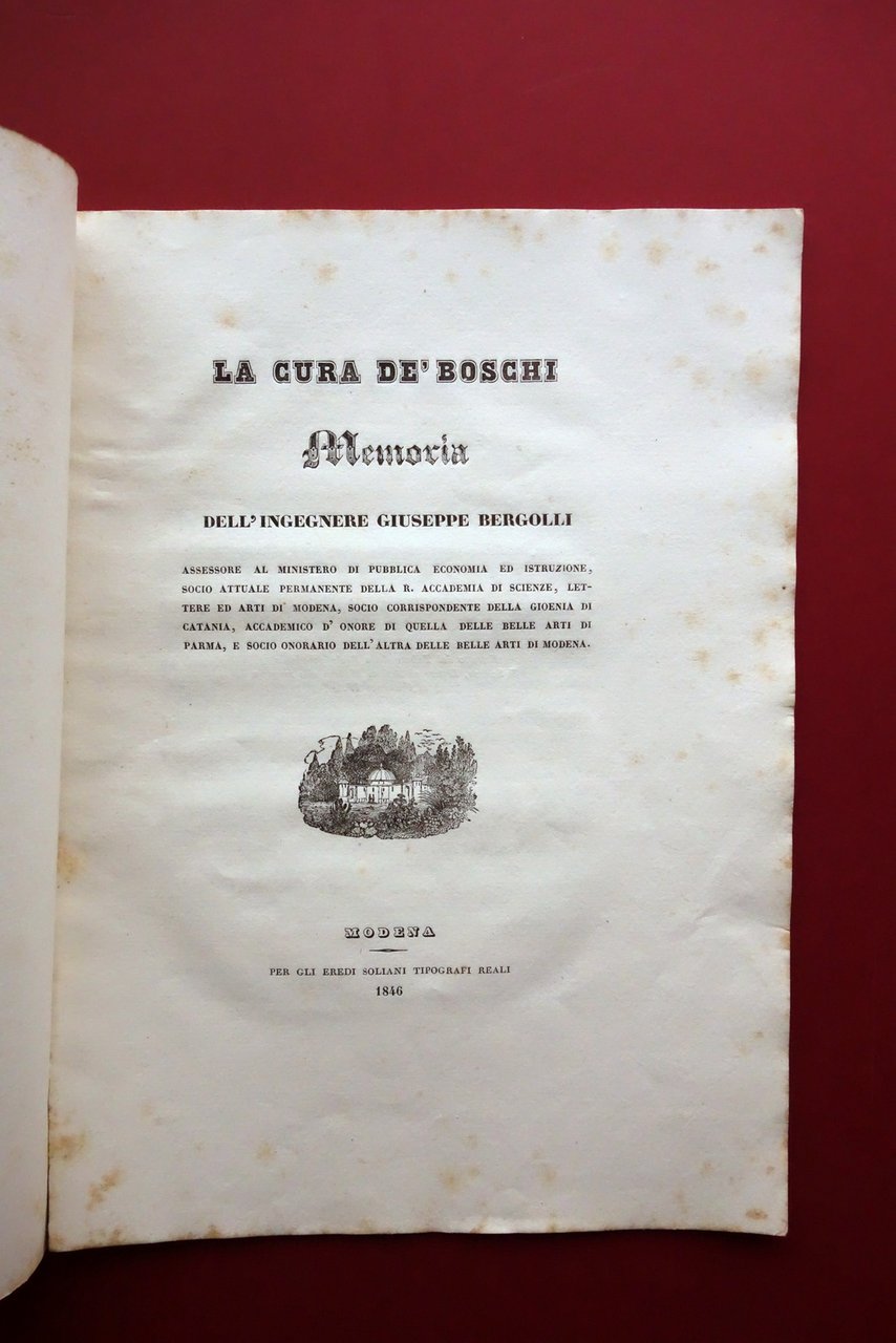 La Cura dei Boschi Memoria dell'Ingegnere Giuseppe Bergolli Soliani Modena … | Immagine principale