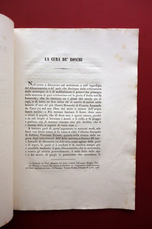 La Cura dei Boschi Memoria dell'Ingegnere Giuseppe Bergolli Soliani Modena … | Immagine Gallery 3