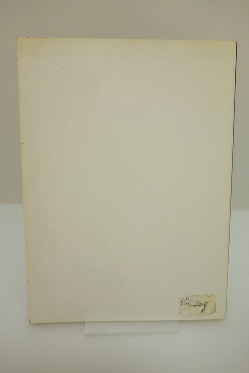 LA FOTOGRAFIA AL BAUHAUS COSTANTINI MARSILIO 1993