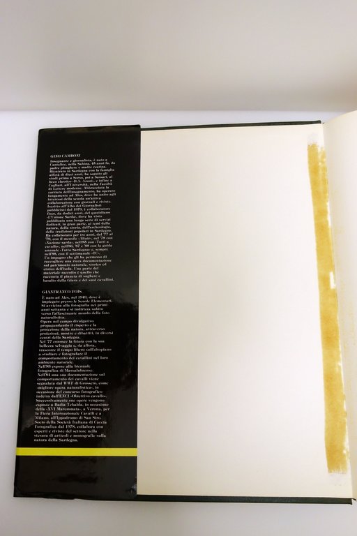 LA GIARA CAMBONI FOIS BADAS DE MARTIS SCHENK EDITRICE SARDEGNA …