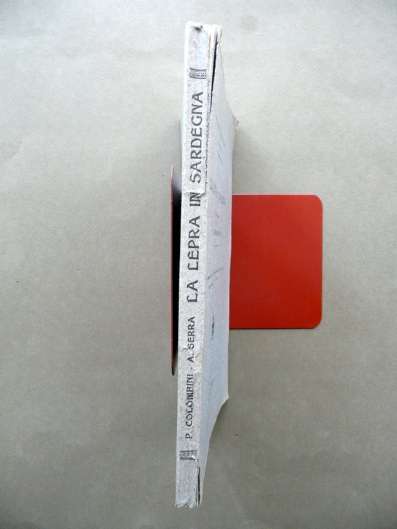 La Lepra in Sardegna Pio Colombini Alberto Serra Dessi Cagliari … | Immagine Gallery 2