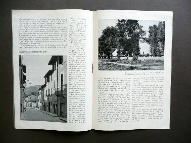 La Lotta Contro le Mosche un Esempio Decisivo Spoleto Guido … | Immagine Gallery 2