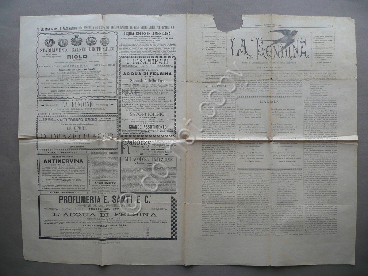 La Rondine Giornale Anno I N.20 Bologna 1886 Letteratura Poesia …