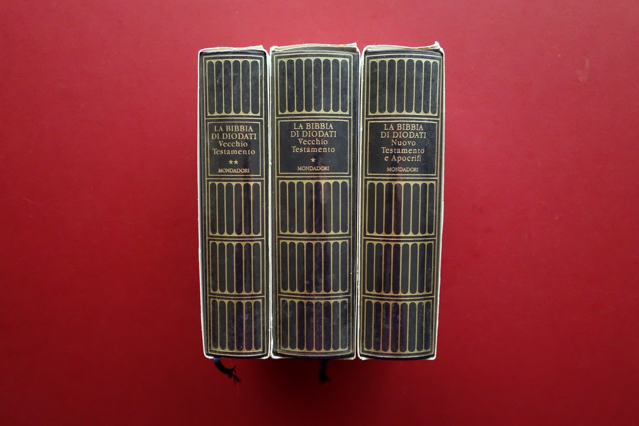 La Sacra Bibbia Tradotta e Commendata da Giovanni Diodati Meridiani … | Immagine principale