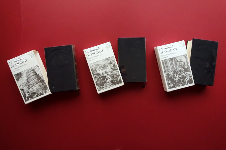 La Sacra Bibbia Tradotta e Commendata da Giovanni Diodati Meridiani … | Immagine Gallery 3