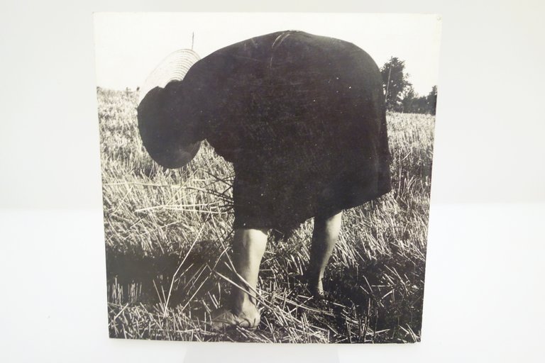 LA TERRA PERCORSA PAOLO BARBARO FIERA MILLENARIA DI GONZAGA 1998 …