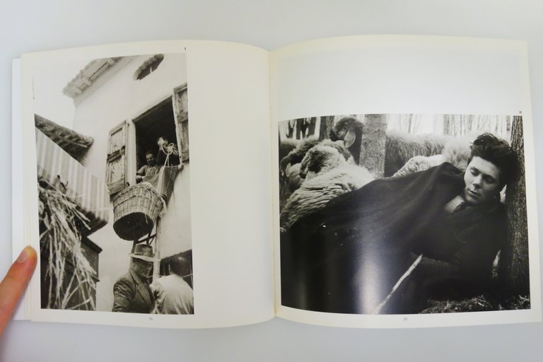 LA TERRA PERCORSA PAOLO BARBARO FIERA MILLENARIA DI GONZAGA 1998 …