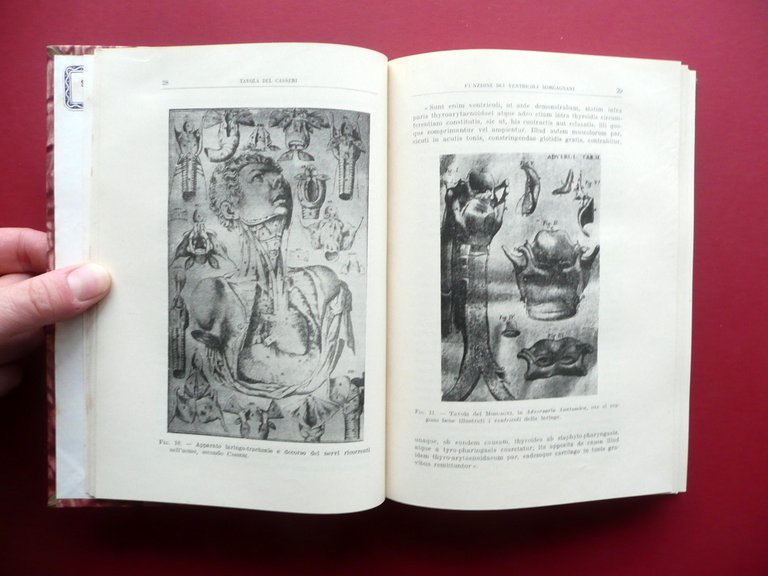 La Voce Parlata e Cantata Normale e Patologica Bilancioni Pozzi …