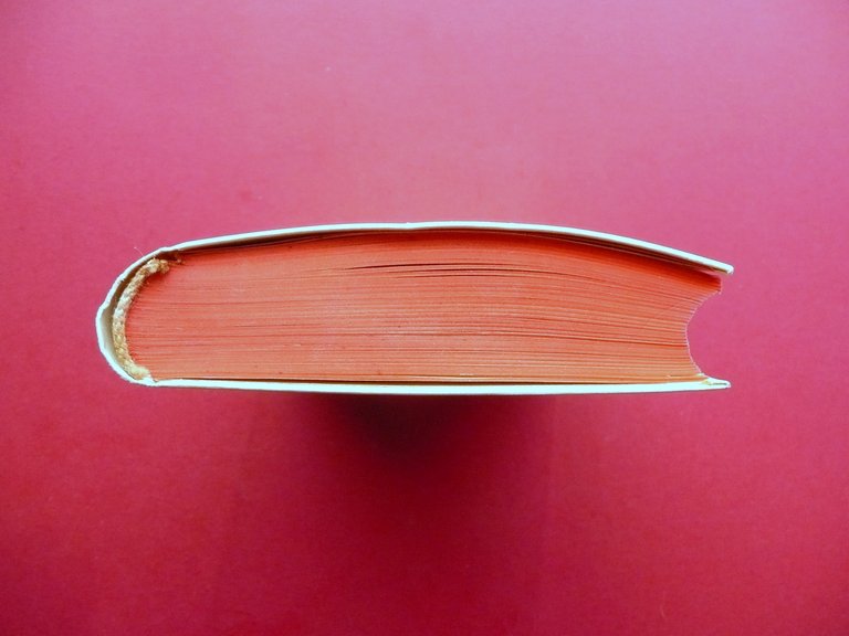 Le Carni Conservate col Freddo Artificiale Uberto Ferretti Hoepli Milano …