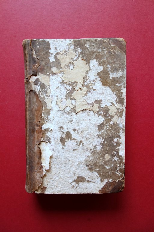 Le Donne pi˘ Celebri della Santa Nazione E. Giuliari Moroni … | Immagine Gallery 2