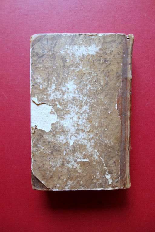 Le Donne pi˘ Celebri della Santa Nazione E. Giuliari Moroni … | Immagine Gallery 4